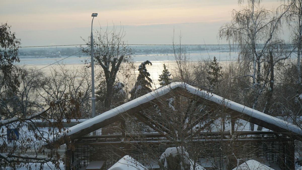 bare trees on snow covered ground during daytime